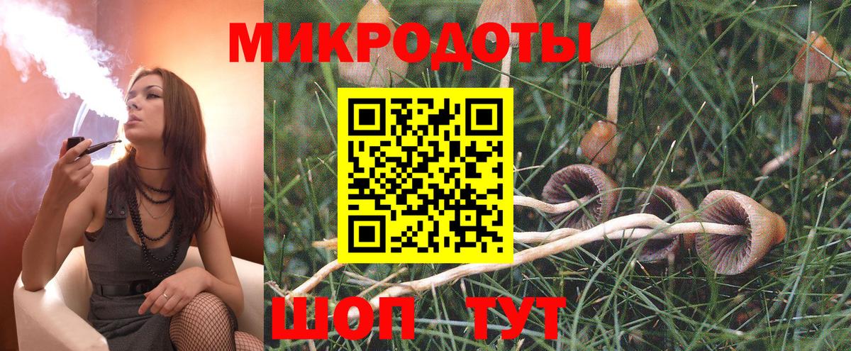 Шадринск  Галлюциногенные грибы Psilocybe  Галлюциногенные грибы Psilocybe  Вход с VPN 