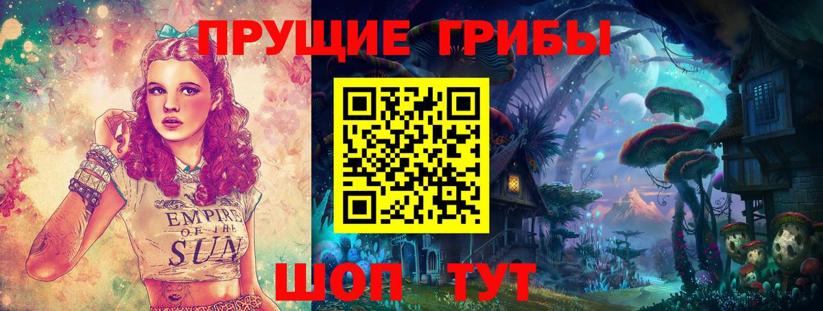 Галлюциногенные грибы Psilocybine cubensis Шадринск